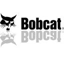   Bobcat - 25 !